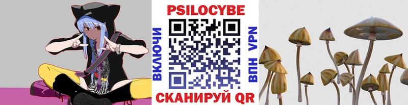 Псилоцибиновые грибы Psilocybine cubensis  Купить закладки  Нижние Серги 